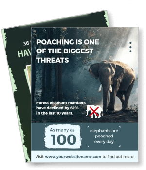 forest elephant poaching awareness campaign template