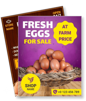fresh eggs for sale farm price promotion shop contact details template