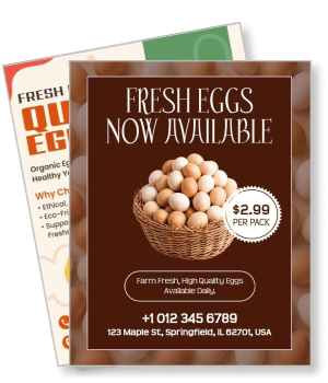 fresh eggs promotion flyers farm direct purchase contact info template
