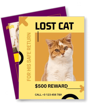 lost cat reward poster orange and white cat missing contact details template