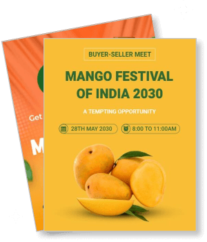 mango festival india 2030 event design with mangoes and details template