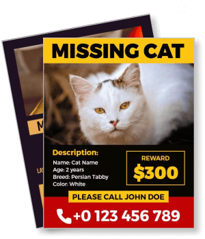 missing cat reward poster white persian tabby two years old contact info template