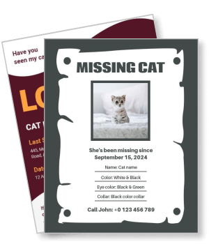 missing cat template with contact info