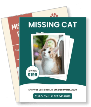missing cat with reward contact details template