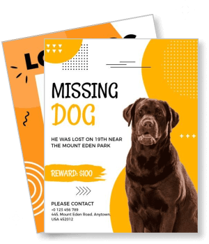 missing dog lost near mount eden park reward contact details template
