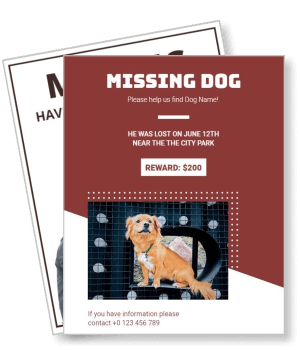 missing dog template with reward information and contact details