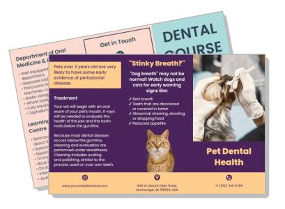 pet dental health flyer with treatment and signs details template