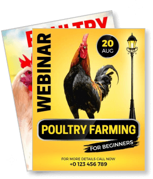 poultry farming webinar for beginners rooster event poster template