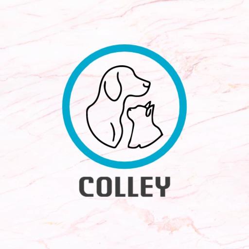Adorable Dog and Cat Embrace Capturing Pet Love Logo Template