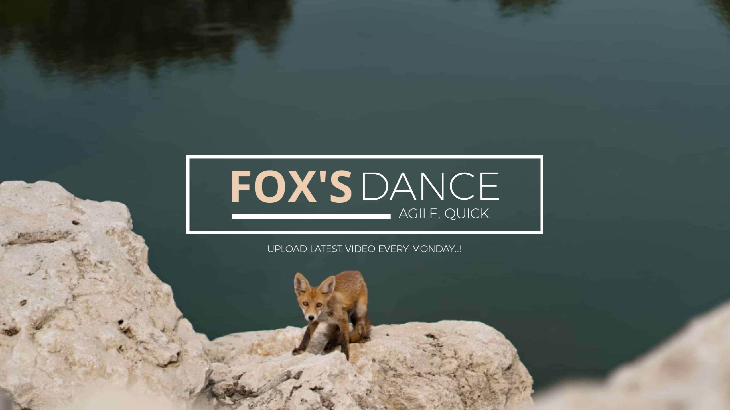 Agile Foxes Dancing Near Water for YouTube Banner Template