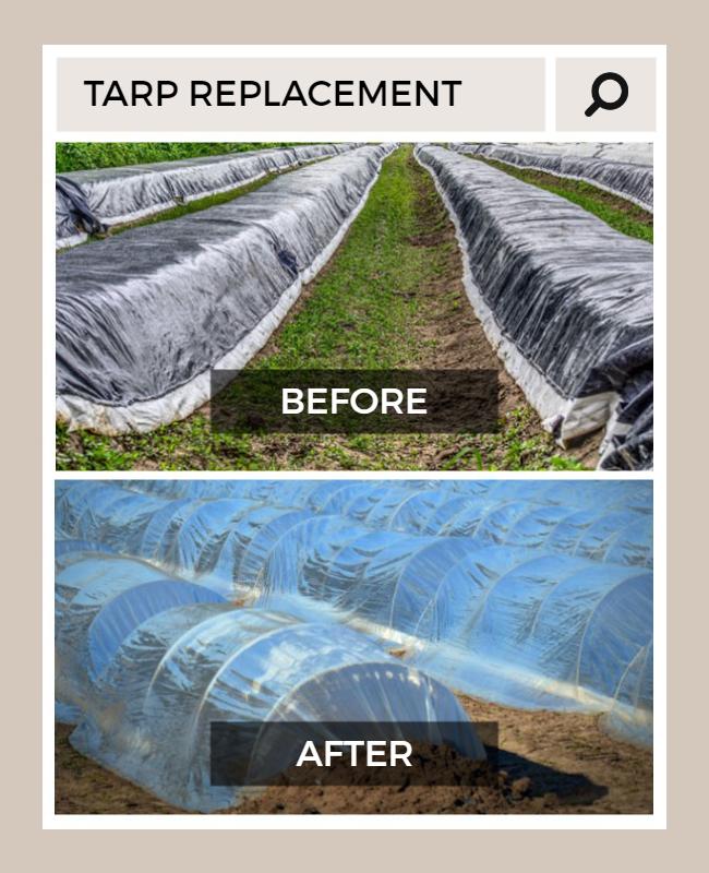 Agricultural Tarp Replacement Before and After Flyer Template