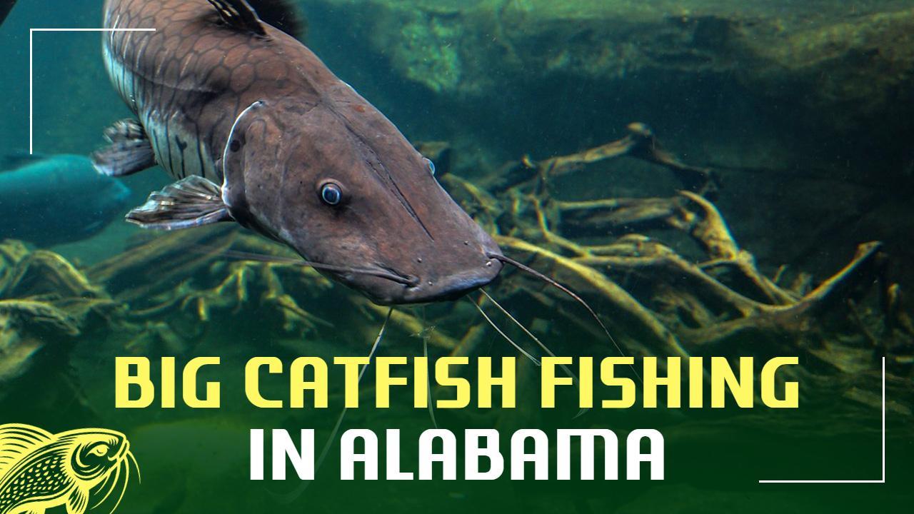 Big Catfish Adventure Alabama Fishing YouTube Thumbnail Template