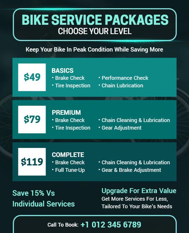 Bike Service Package Options Flyer Template