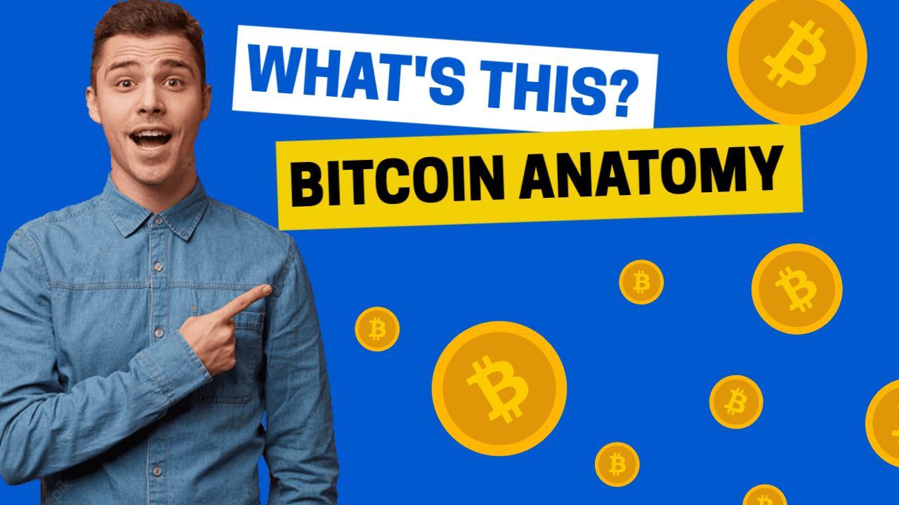 Bitcoin Anatomy Explanation Trending YouTube Thumbnail Template