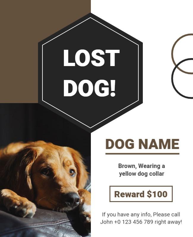 Bold Brown Lost Dog Notice with Reward Poster Template