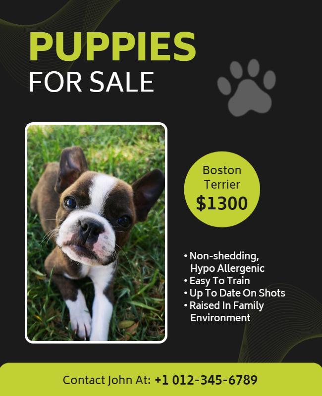 Boston Terrier Puppies for Sale Flyer Template