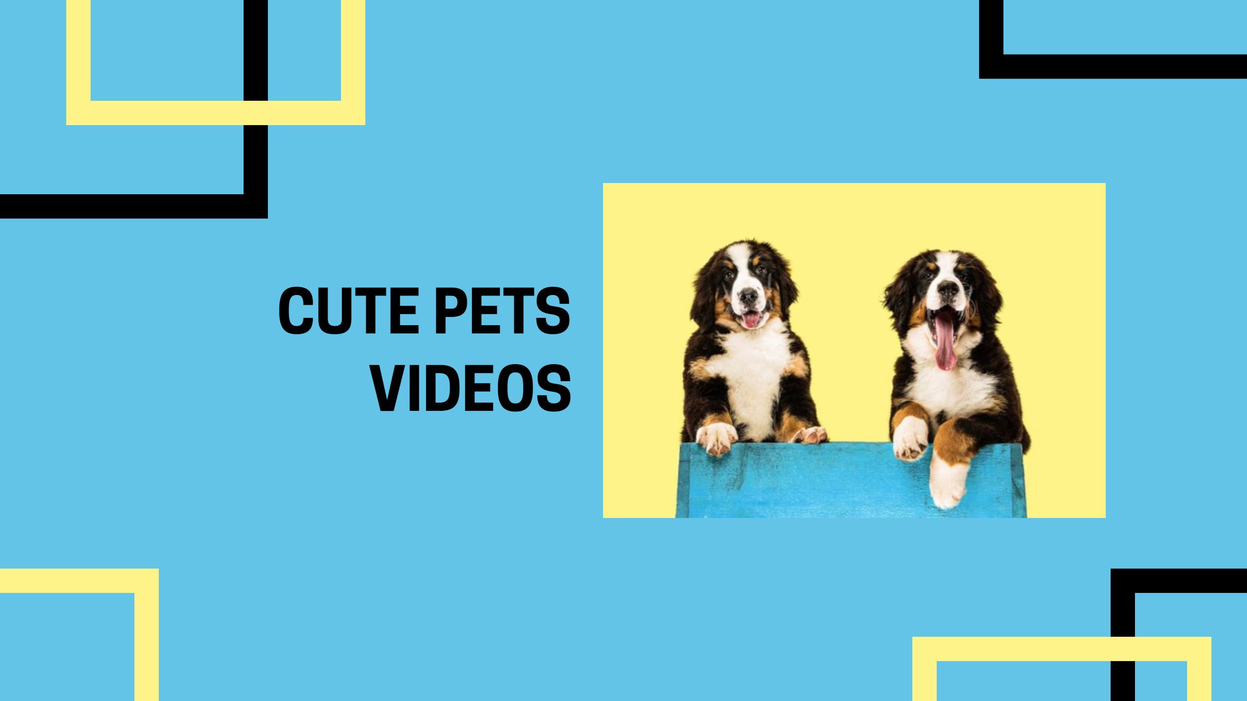 Bright Blue Background with Cute Pets Videos YouTube Banner Template