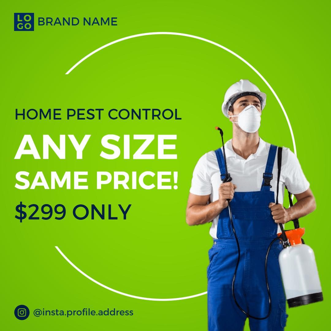 Bright Green Home Pest Control Service Affordable Package Ad Template
