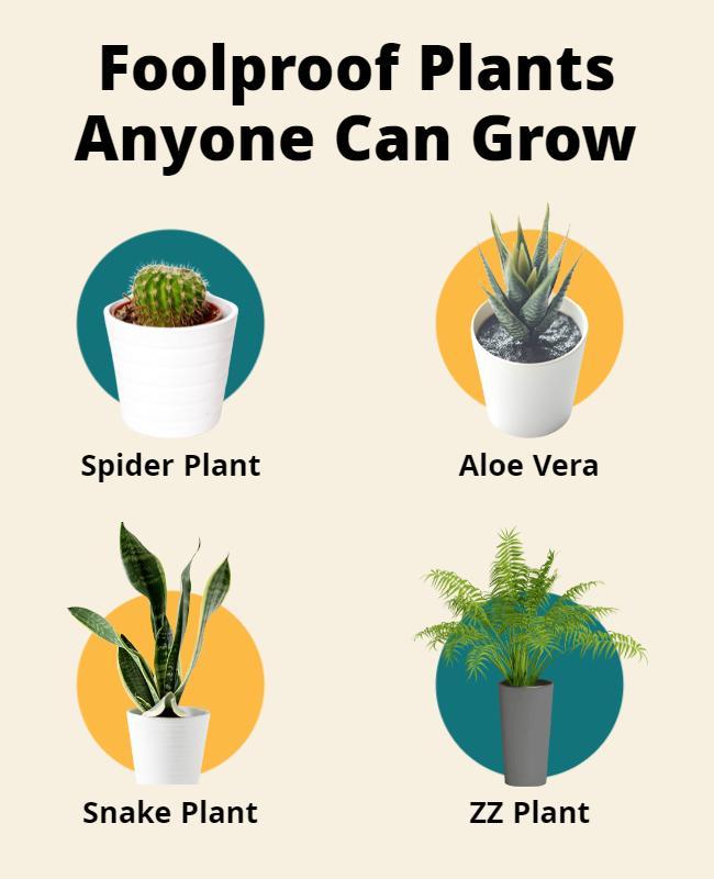 Bright Minimalist Indoor Plant Care Guide Poster Template