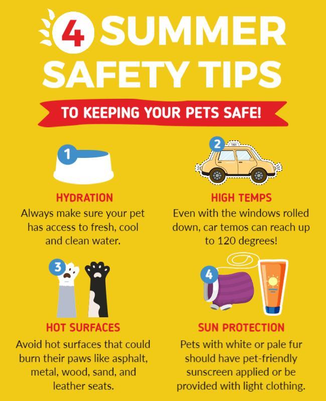 Bright Yellow Informative Summer Pet Safety Tips Poster Template