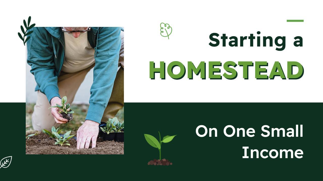 Budget Homesteading Tips Small Income Trending YouTube Thumbnail Template