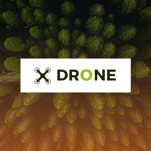 Capturing Aerial Views with Innovative Drone Technology Logo Template