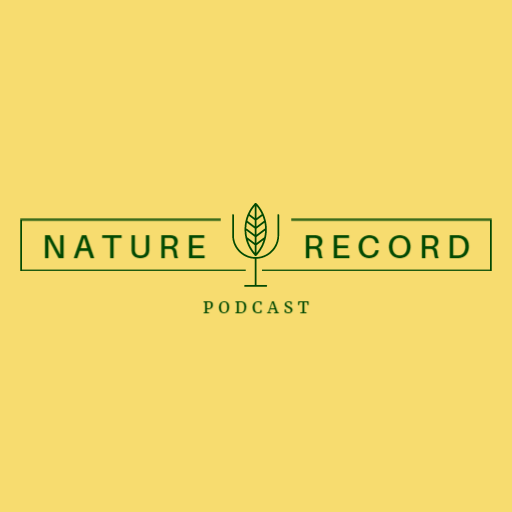 Capturing the Essence of Nature in This Podcast Logo Template