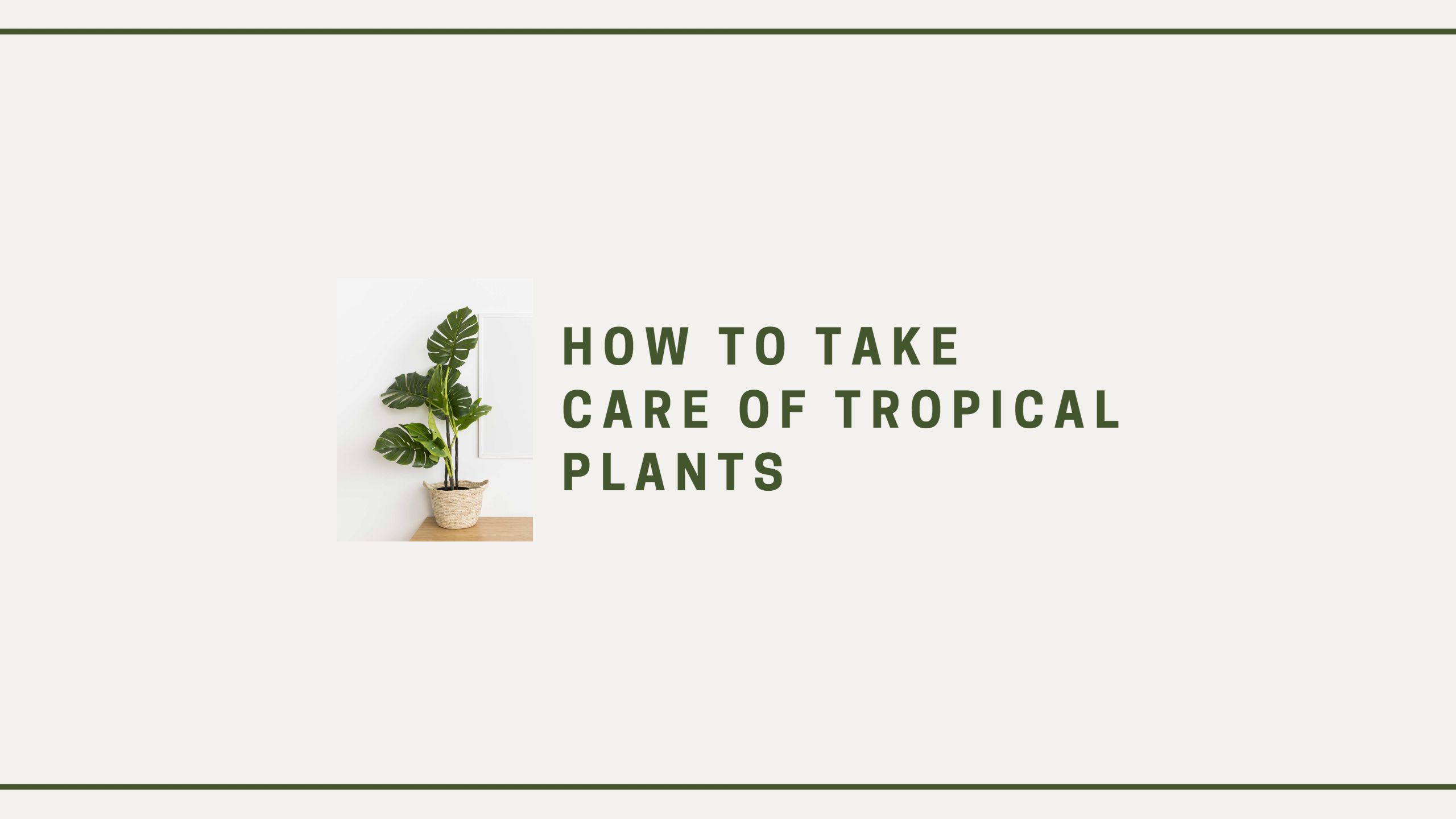Caring for Lush Tropical Plants on Soft Beige YouTube Banner Template