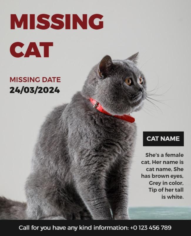 Caring Grey Cat Missing Notification Poster Template