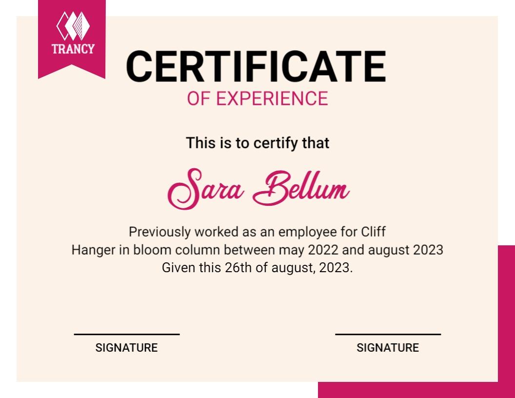 Chic Pink Minimalist Work Experience Certificate Template