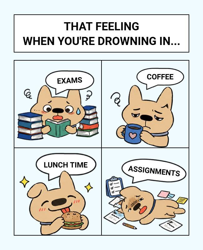 Comical Schoolwork and Relaxation Meme Poster Template
