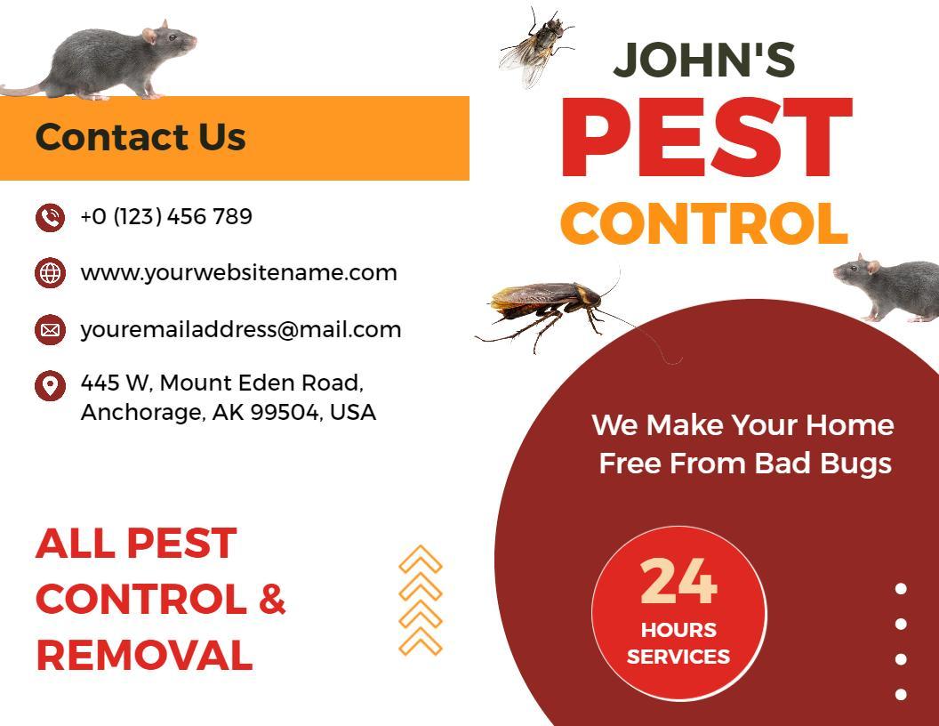 Comprehensive Pest Control Services and Safety Solutions Brochure Template