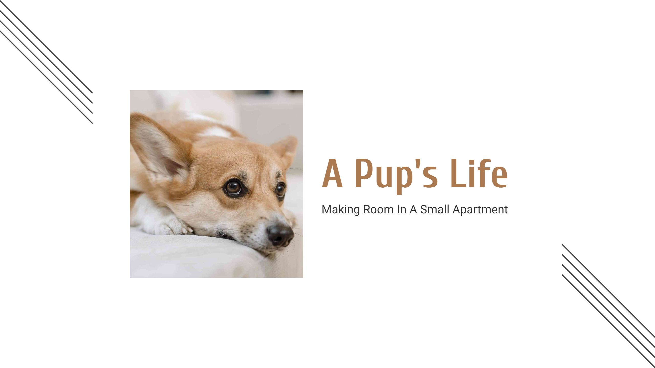 Cozy Corgi Relaxing at Home in Apartment YouTube Banner Template