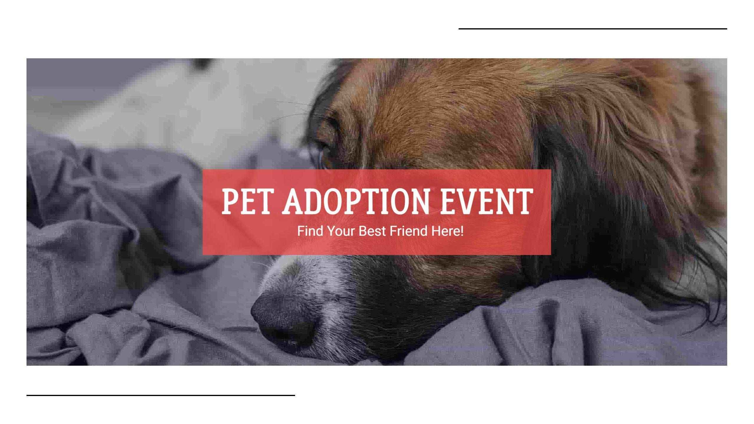 Cuddly Dog on Cozy Blanket Promotes Pet Adoption Event Banner Template