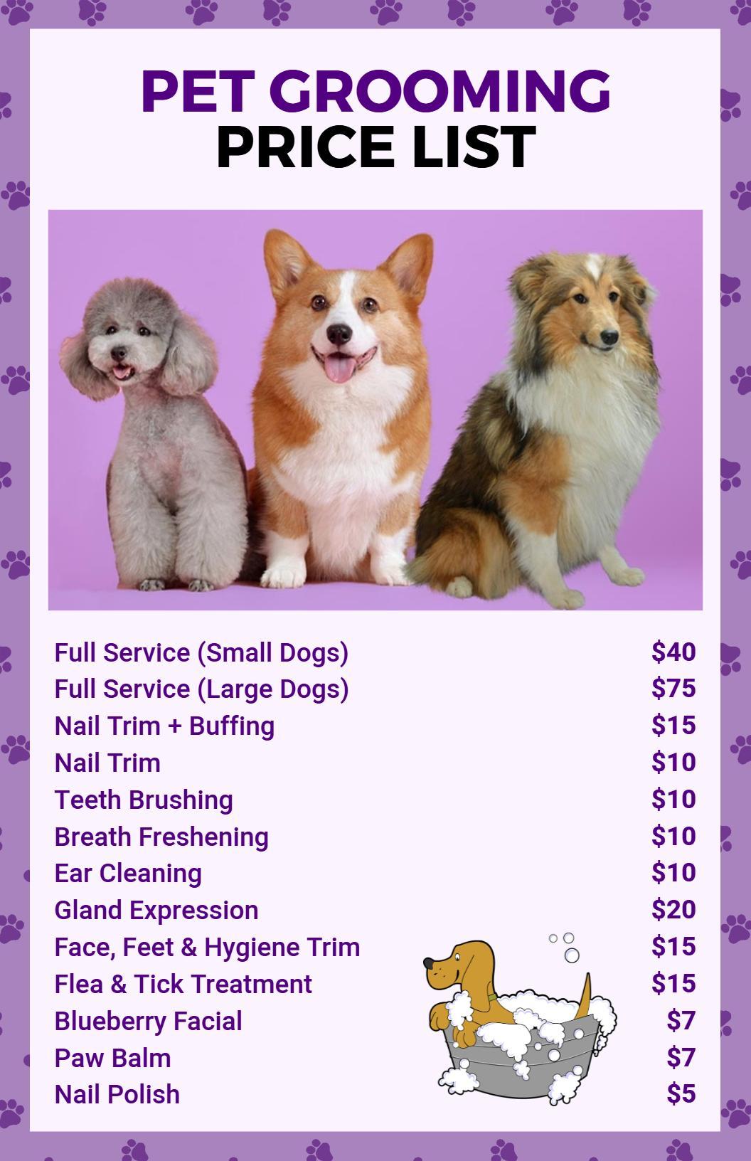 Cute Dog Illustrated Pet Grooming Services Price List Template