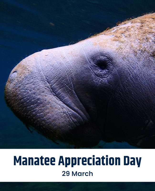 Cute Manatee Underwater Theme for Appreciation Day Poster Template