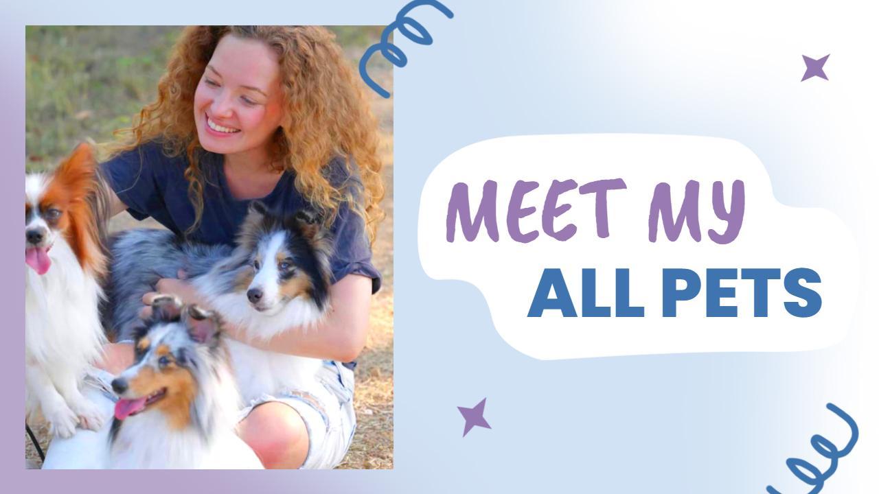 Cute Pets Family Introduction Trending YouTube Thumbnail Template
