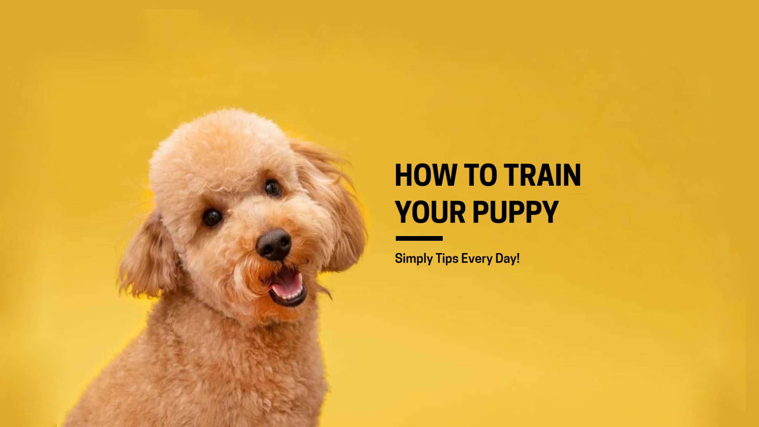 Cute Puppy on Bright Yellow Background YouTube Banner Template