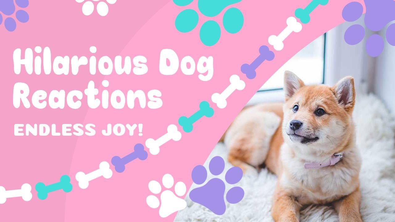 Dogs Doing Hilarious Things Trending YouTube Thumbnail Template
