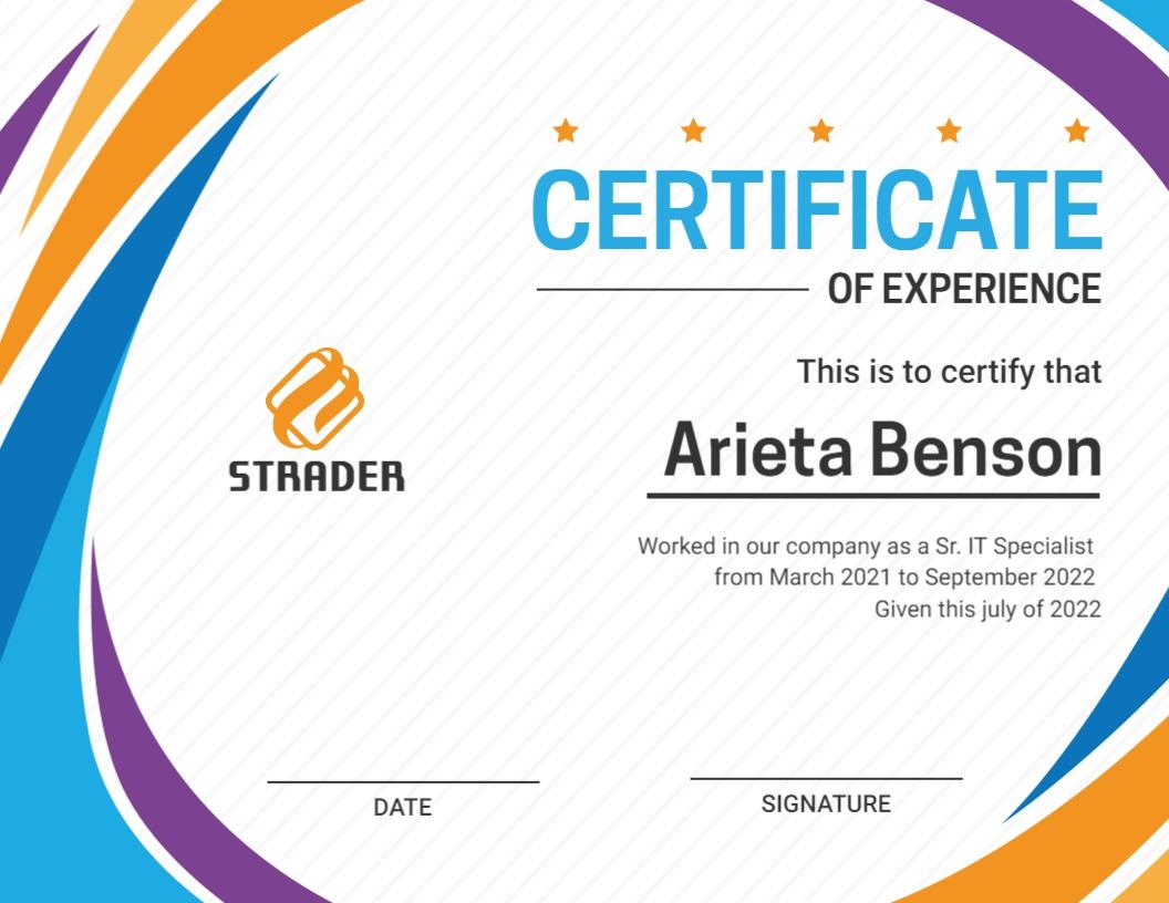 Dynamic Blue and Orange Modern IT Experience Certificate Template