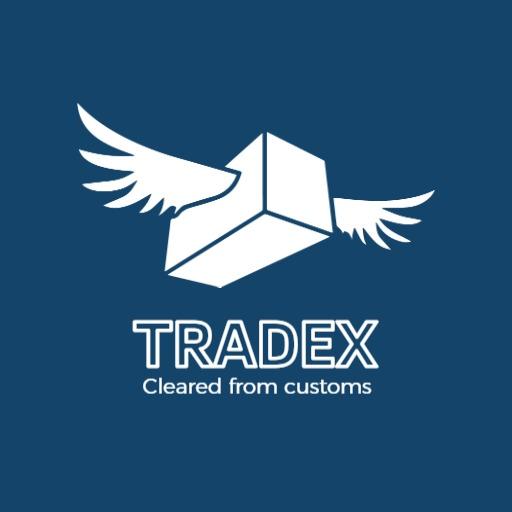 Dynamic Blue and White Company Logo Representing Fast Shipping Logo Template