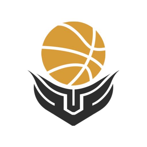 Dynamic Golden Basketball Design with Bold Wings Logo Template