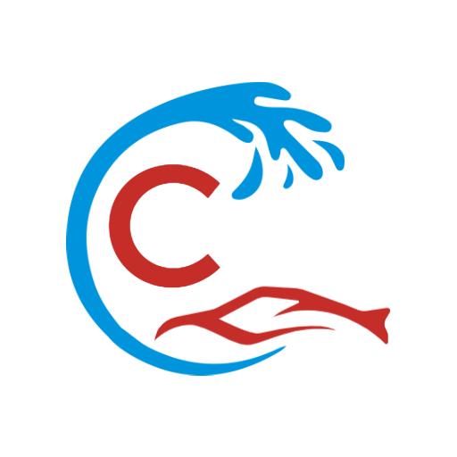 Dynamic Wave and Letter C Design for Alphabet Logo Template