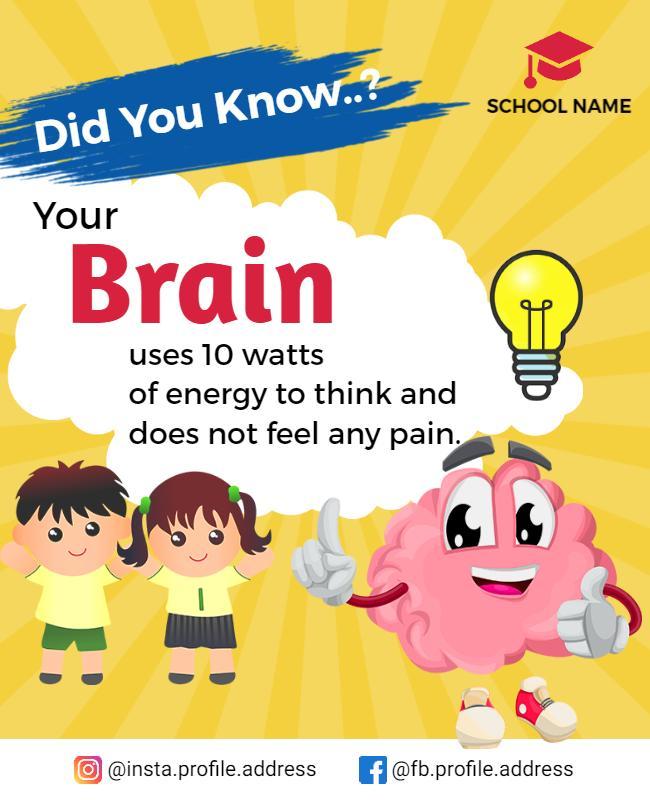 Educational Brain Fact School Flyer Template