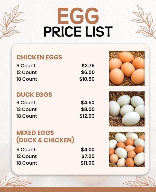 Egg Price List with Chicken and Duck Varieties Poster Template