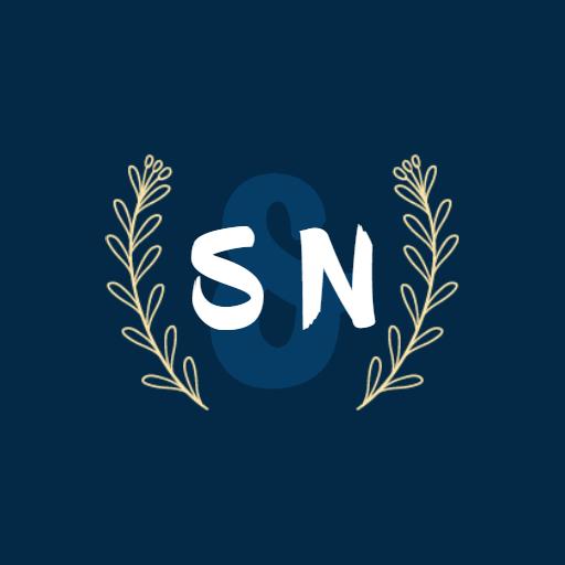 Monogram Design with Initials SN Logo Template