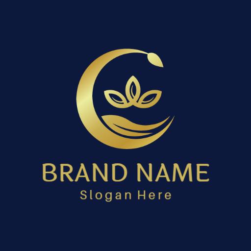 Elegant Gold and Navy Design Embodying Luxury Essence Logo Template