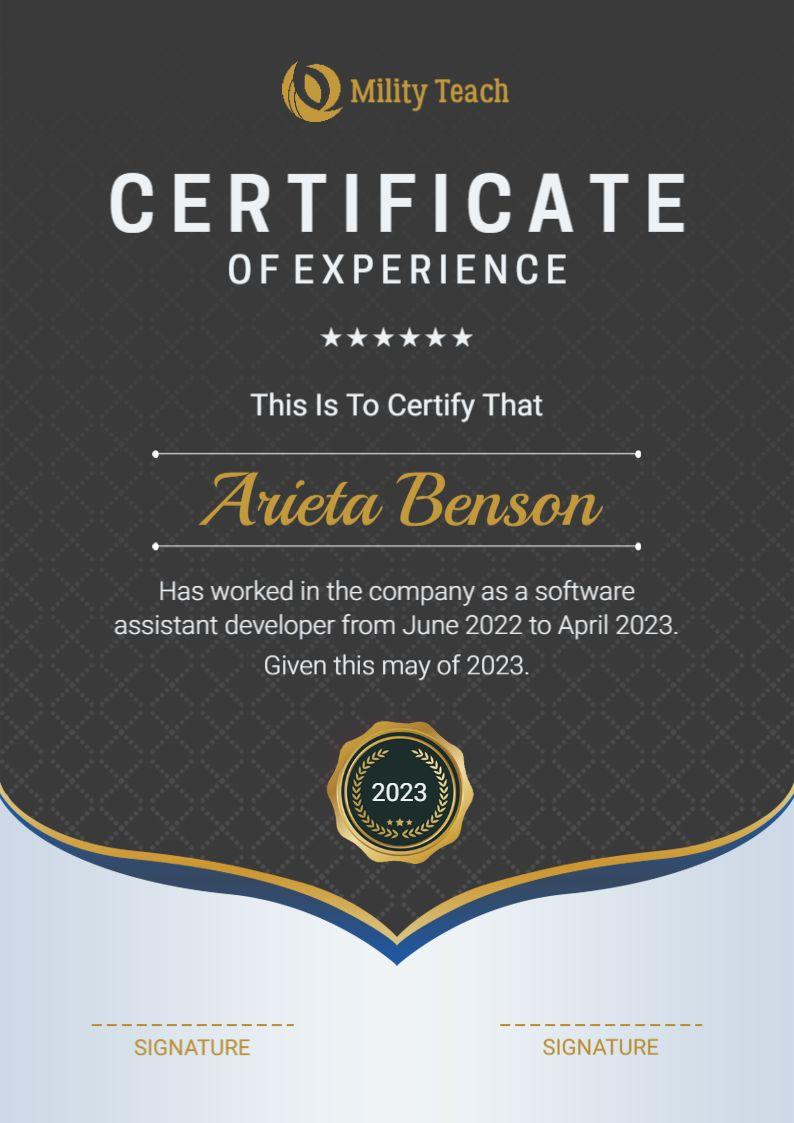 Elegant Gray Professional Work Experience Certificate Template