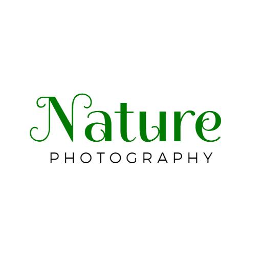 Elegant Green Nature Photography Wordmark Logo Template