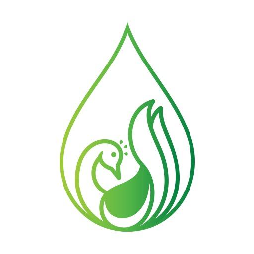 Elegant Green Peacock Design with Fluid Shapes Logo Template